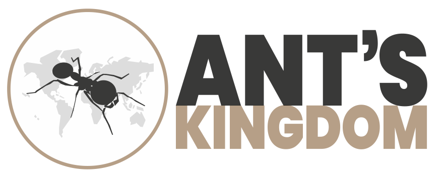 Ant's Kingdom | Mierenboerderij