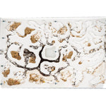 Mierenboerderij acryl met mieren overview