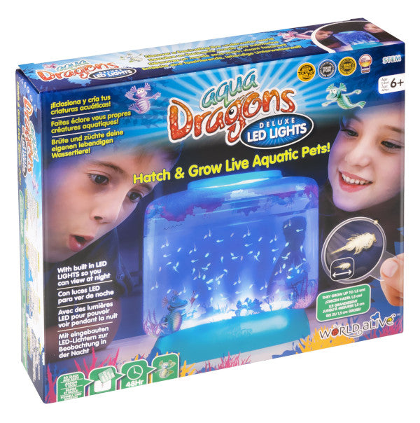 Aqua Dragons Led version