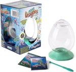 Aqua dragons eggspress contents
