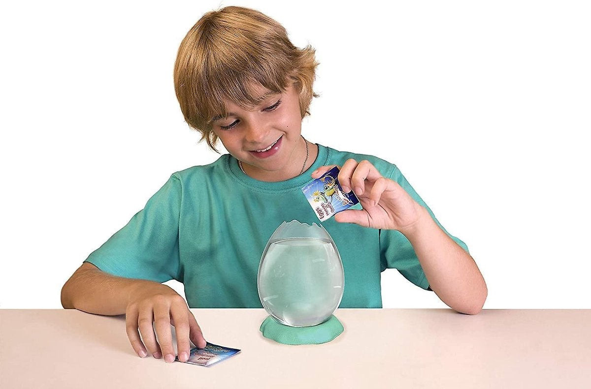 Eggspress Aqua Dragons Fun