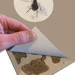 Beschutten mierenkolonie in nest met antcover