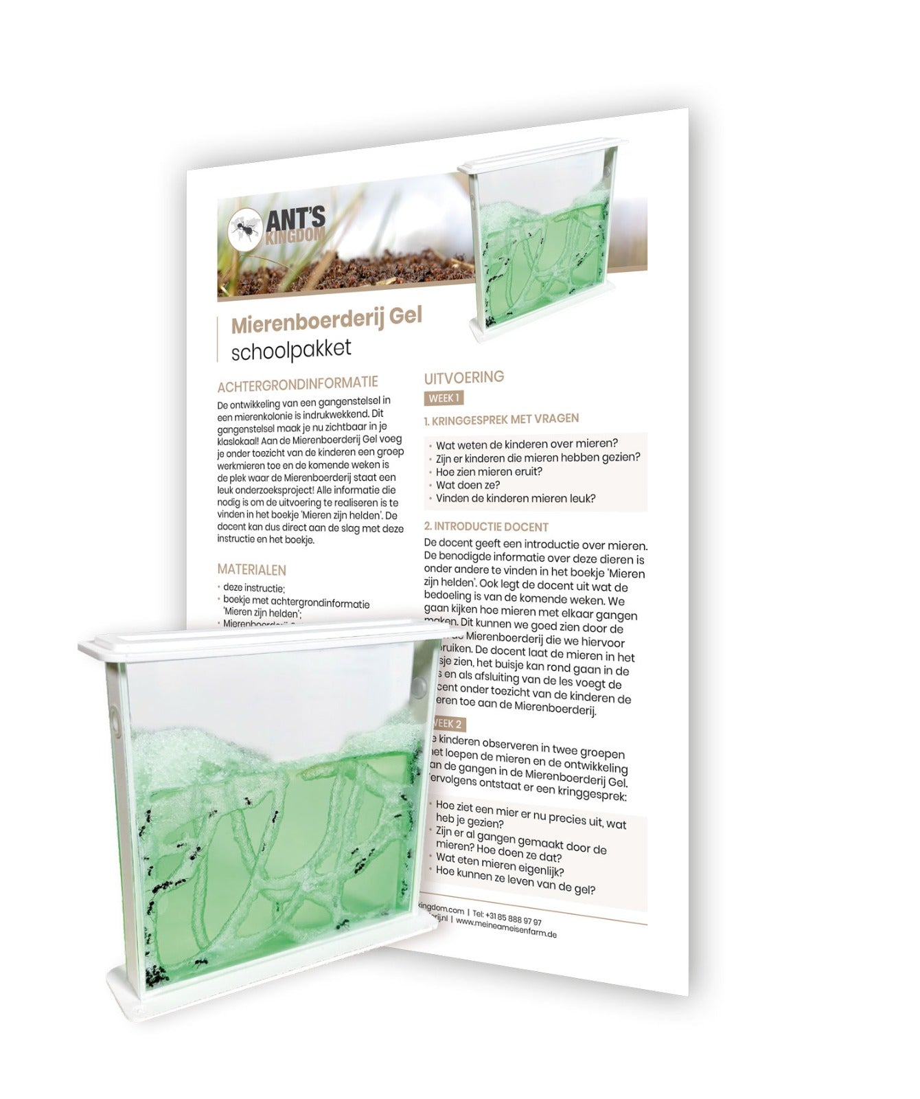 Mierenboerderij gel schoolpakket