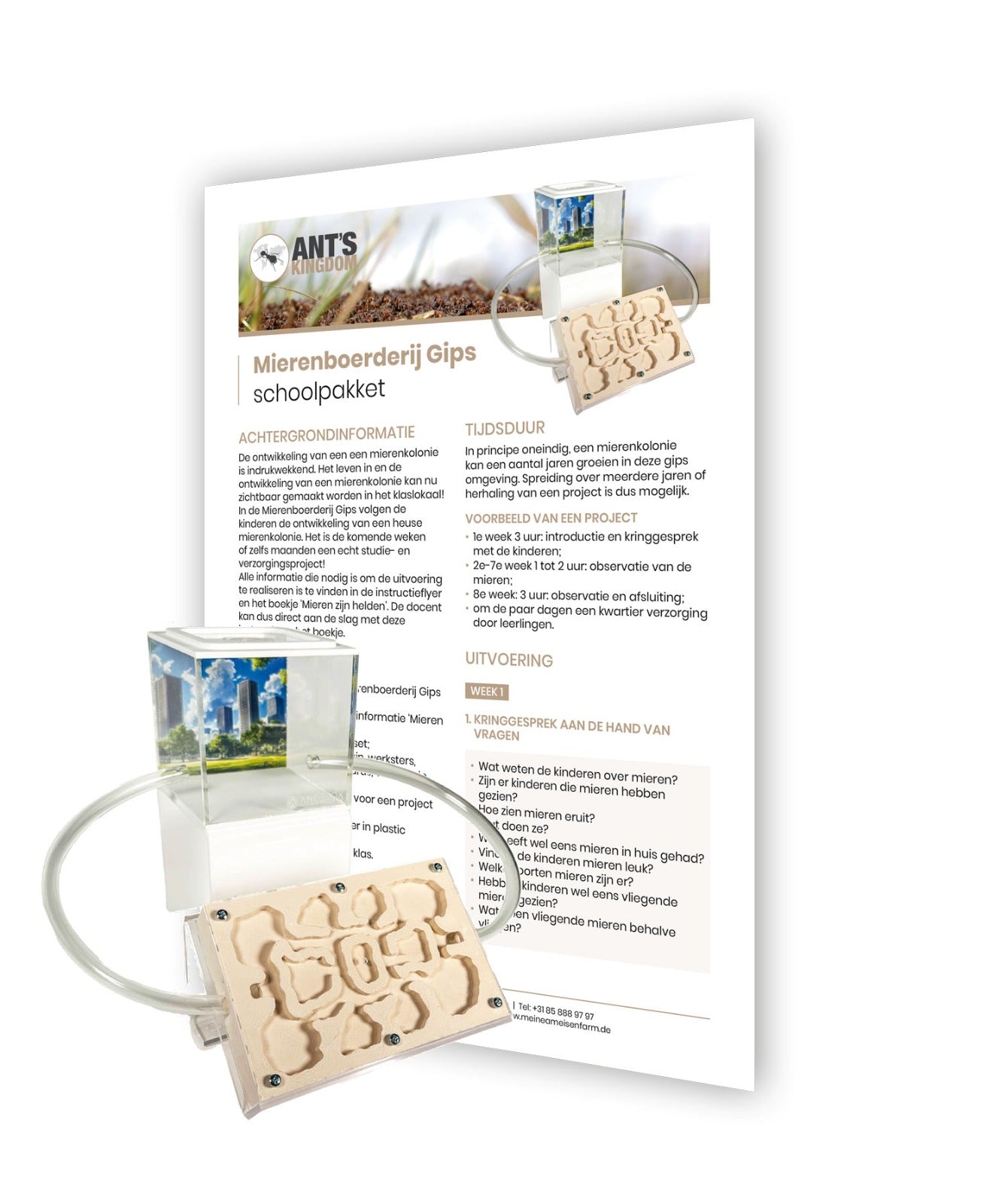 Mierenboerderij gips schoolpakket