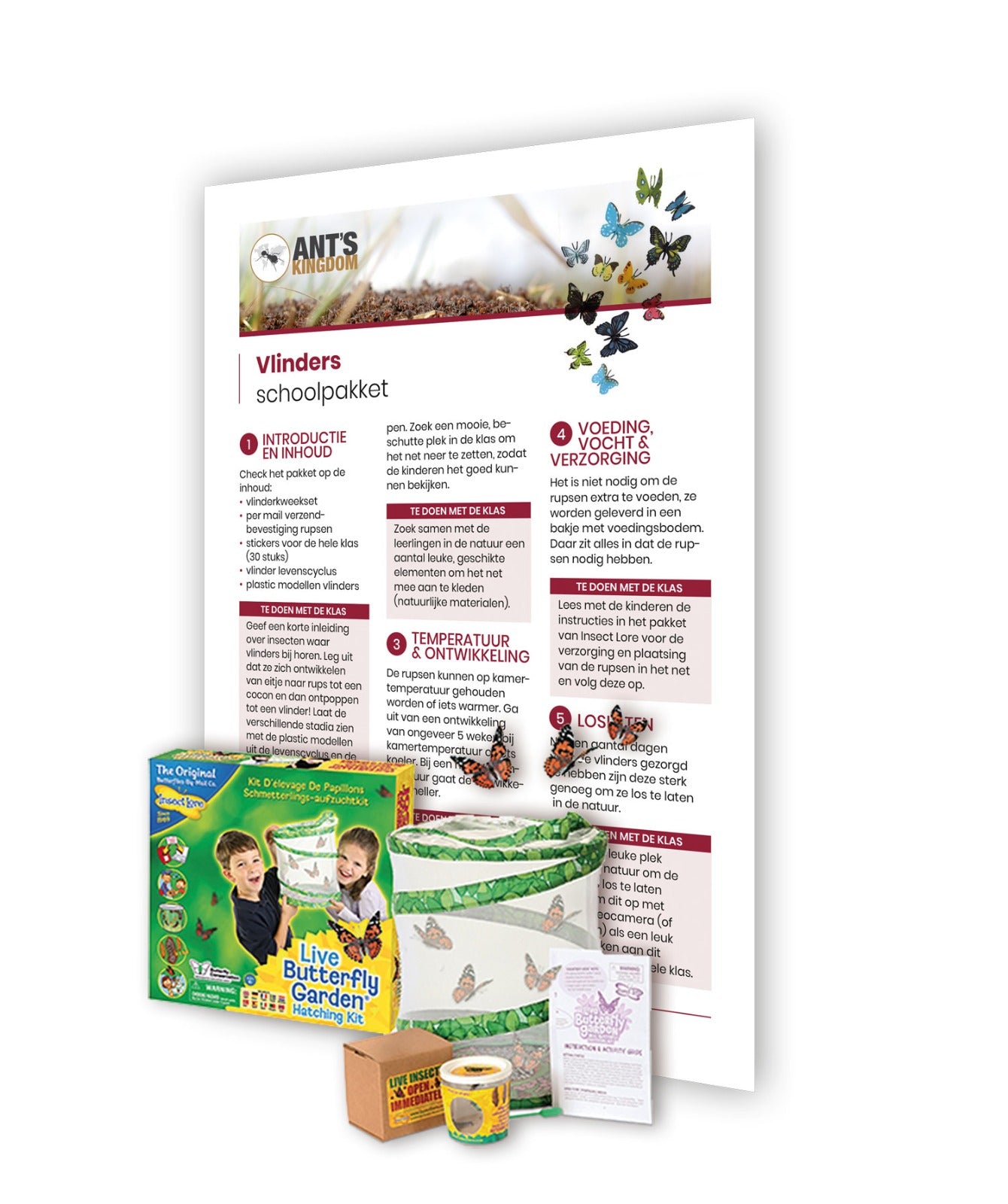 Vlinders schoolpakket