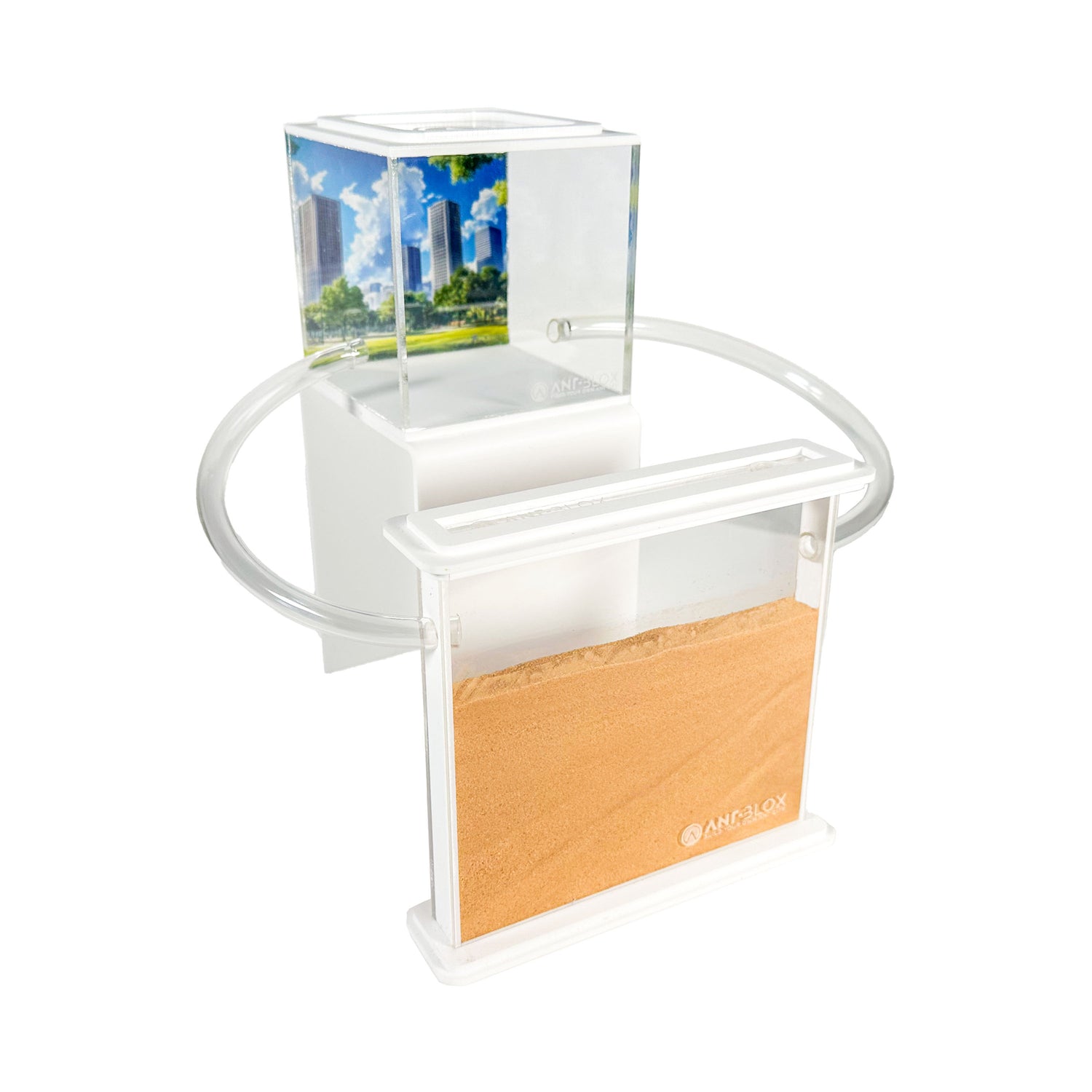 Mierenboerderij zand