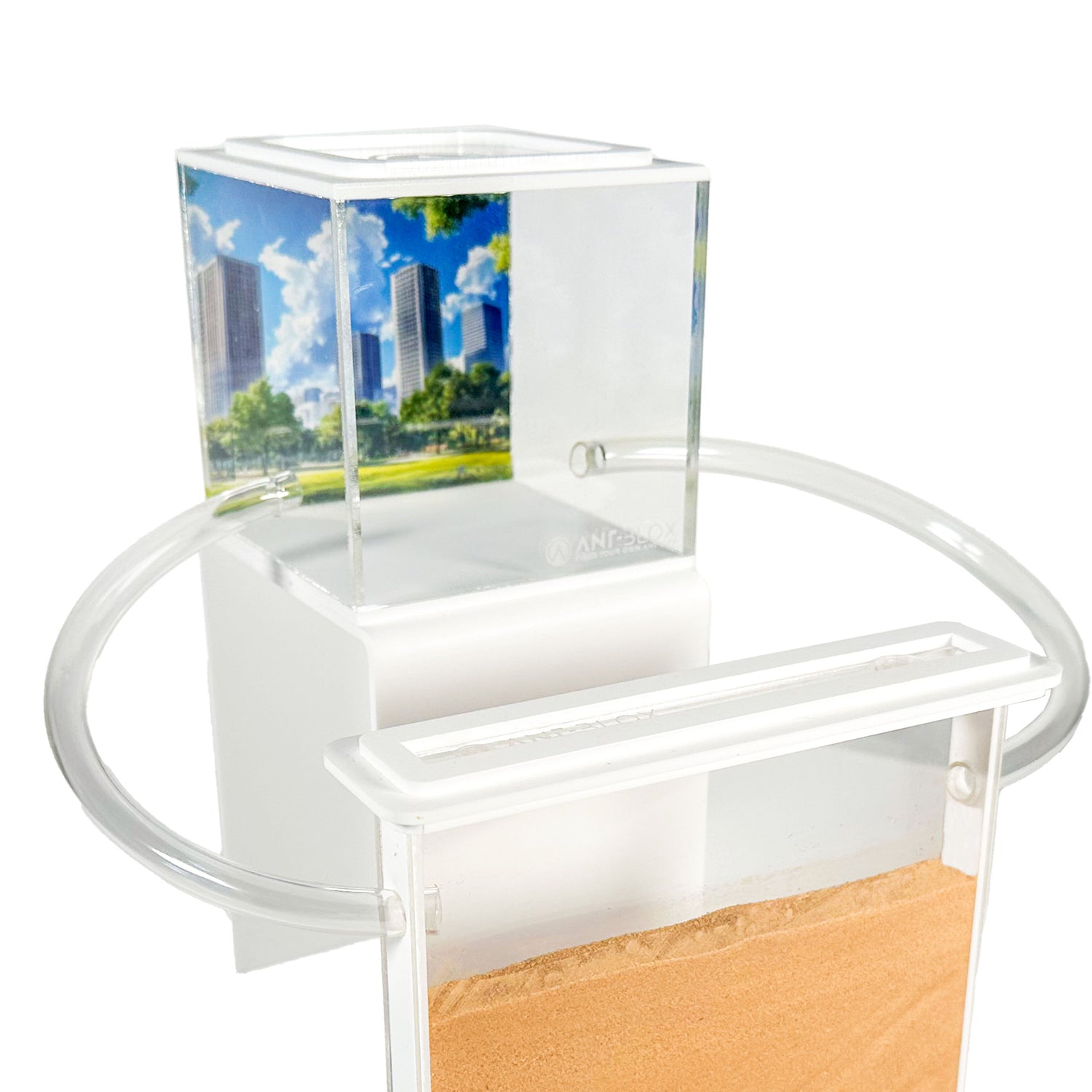 Arena mierenboerderij zand