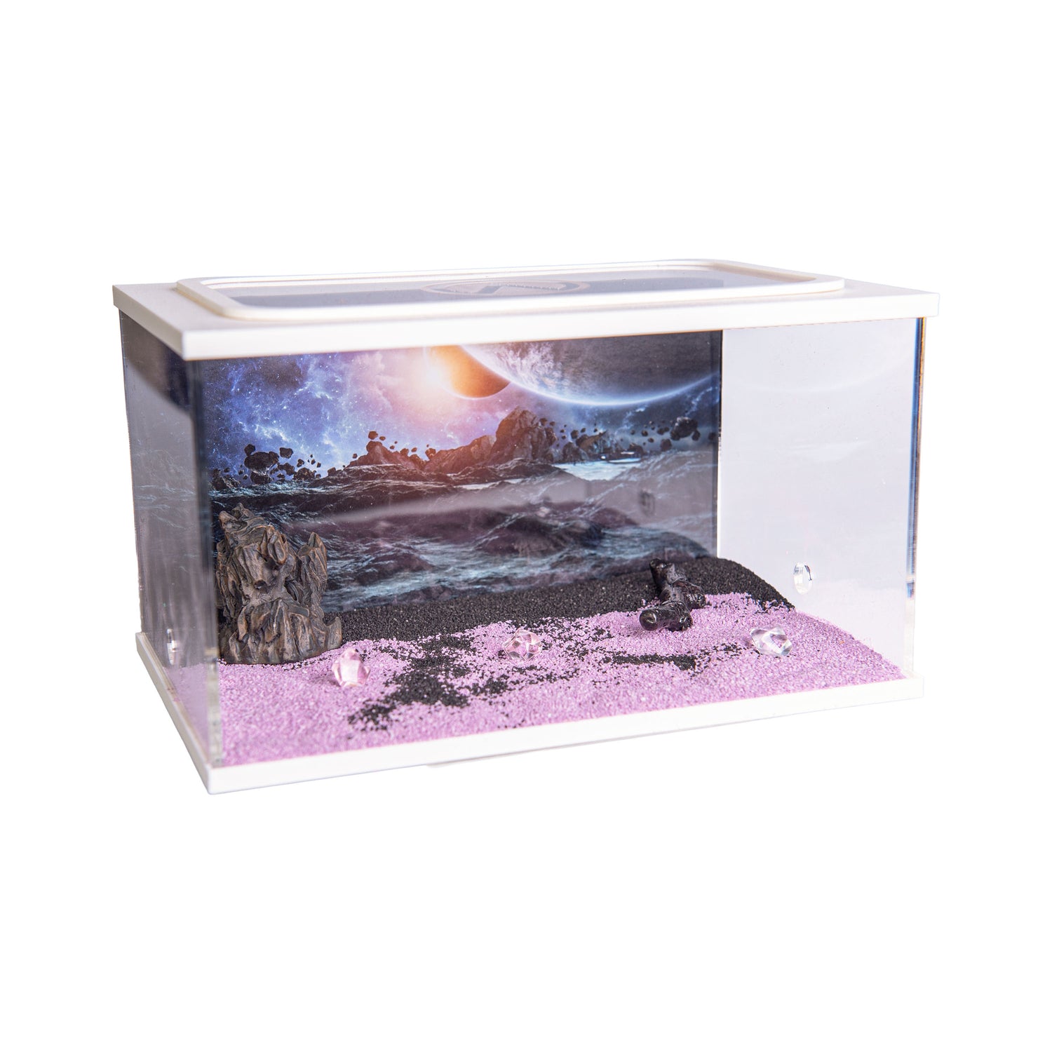 City Square WIT (Arena 20x13x12)