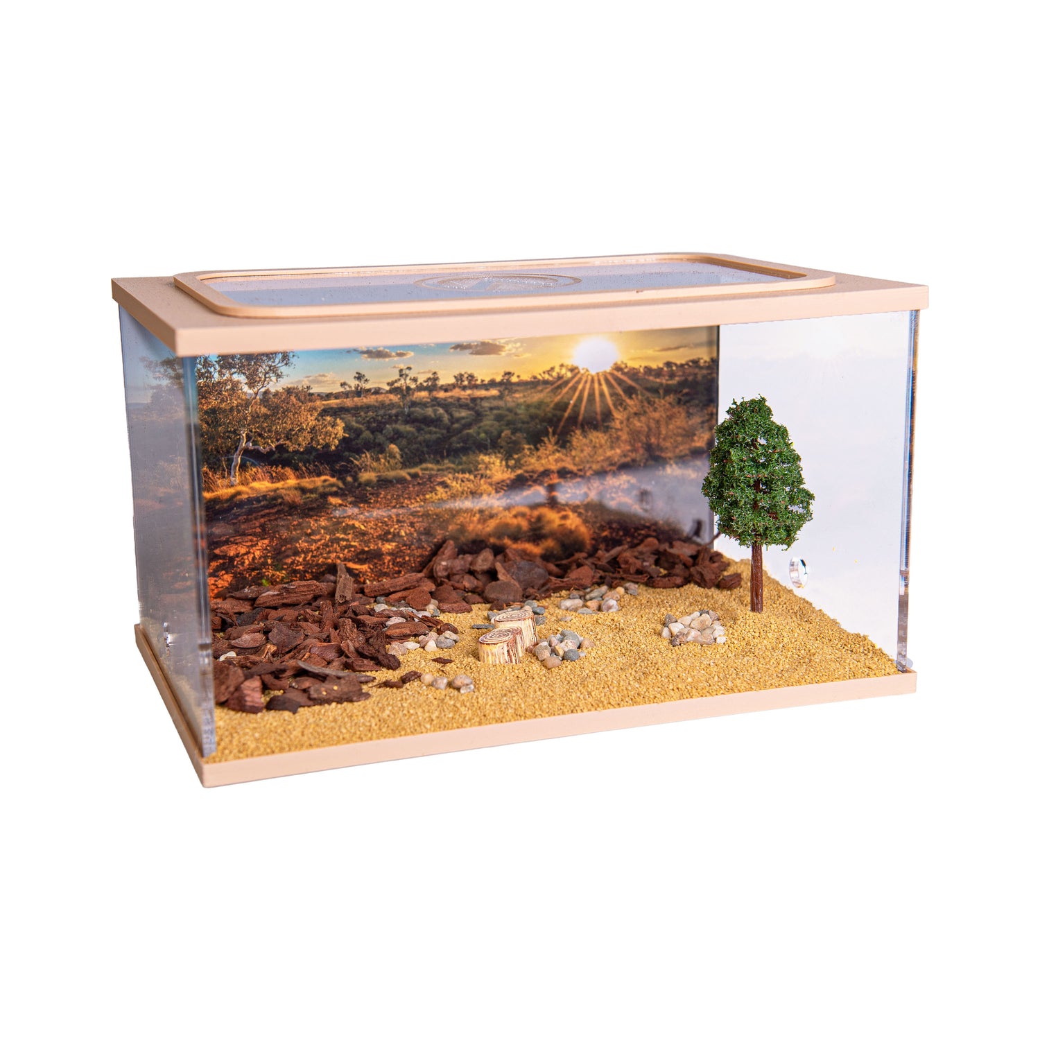 City Square BRUIN (Arena 20x13x12)