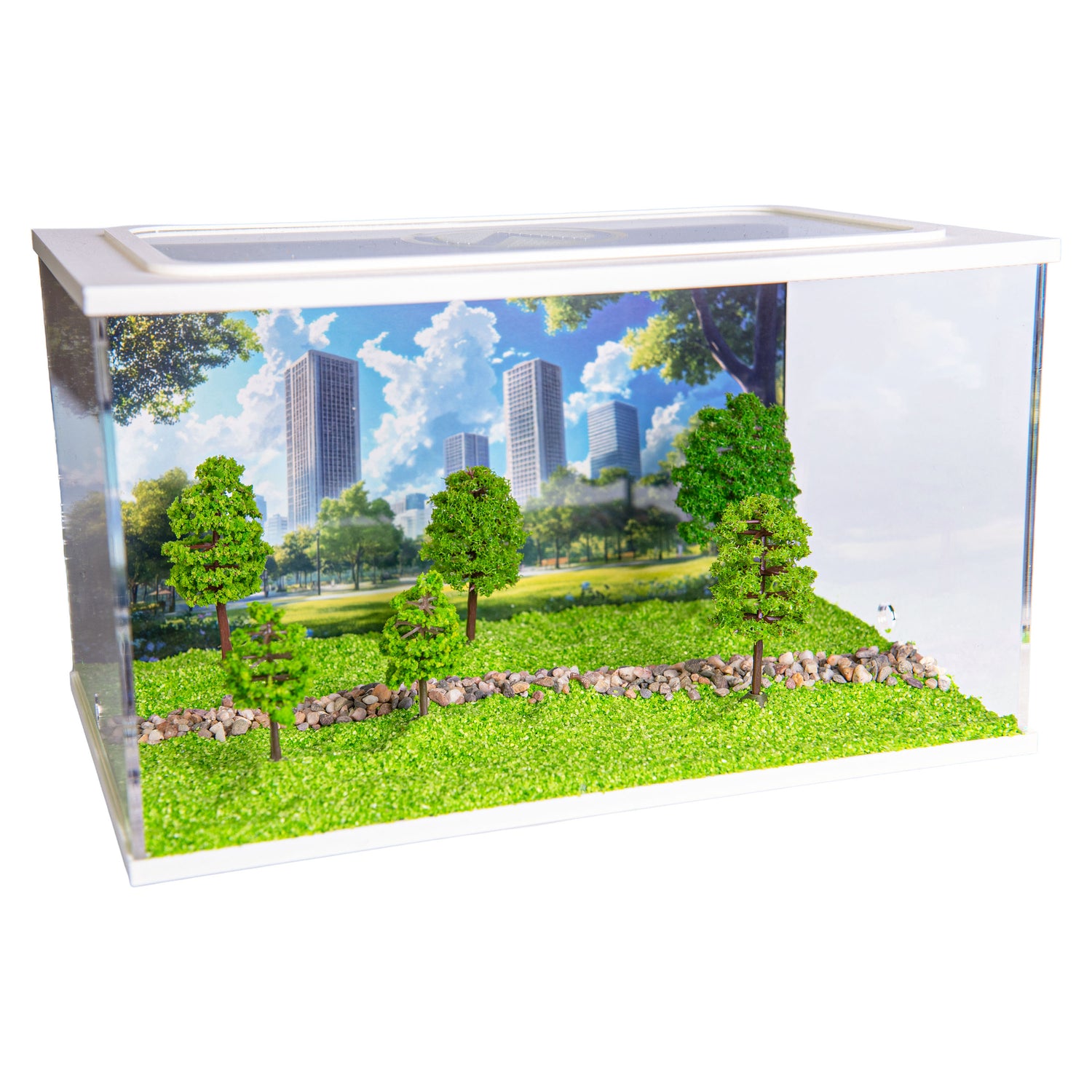 Capital Square WIT (Arena 25x16x15)