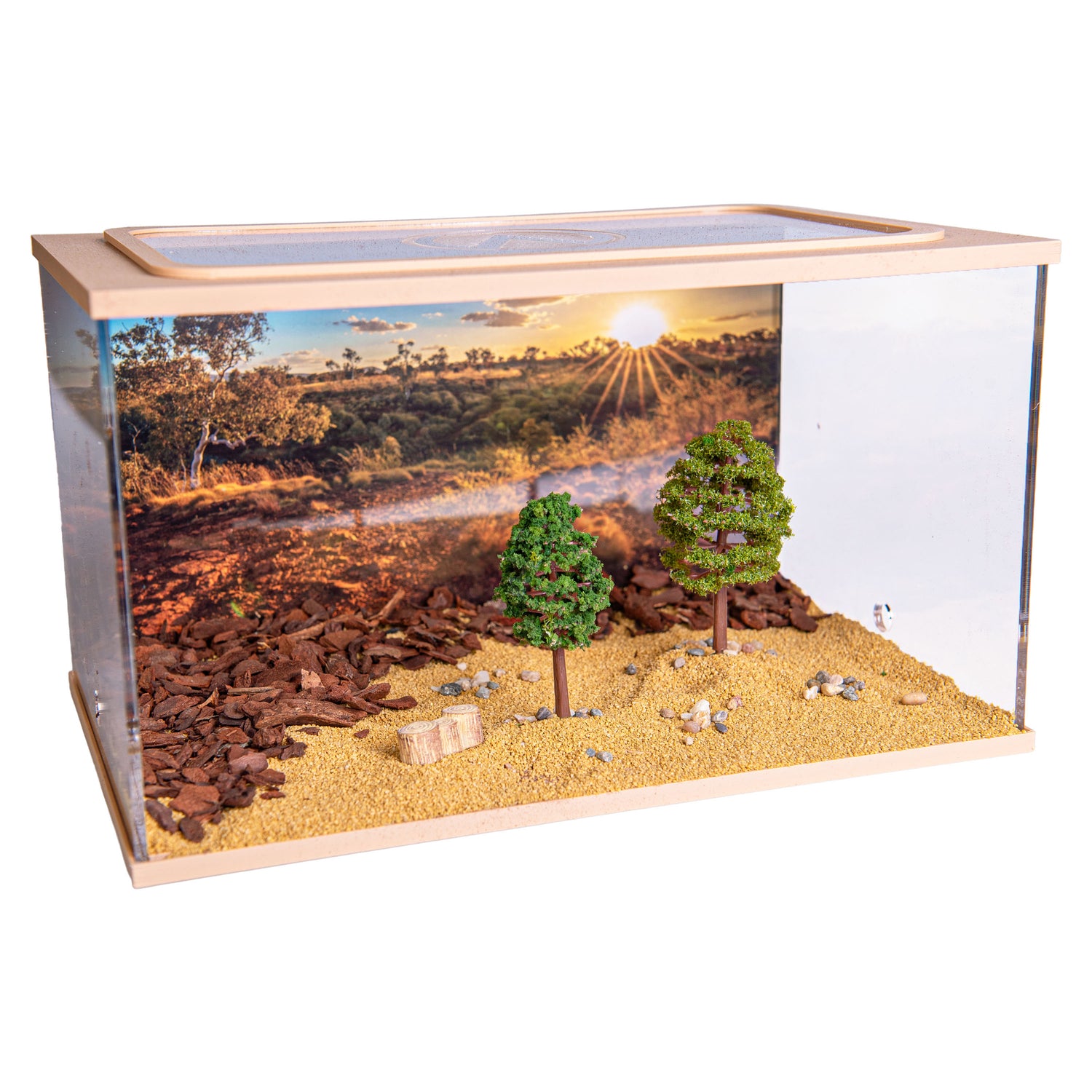 Capital Square BRUIN (Arena 25x16x15)