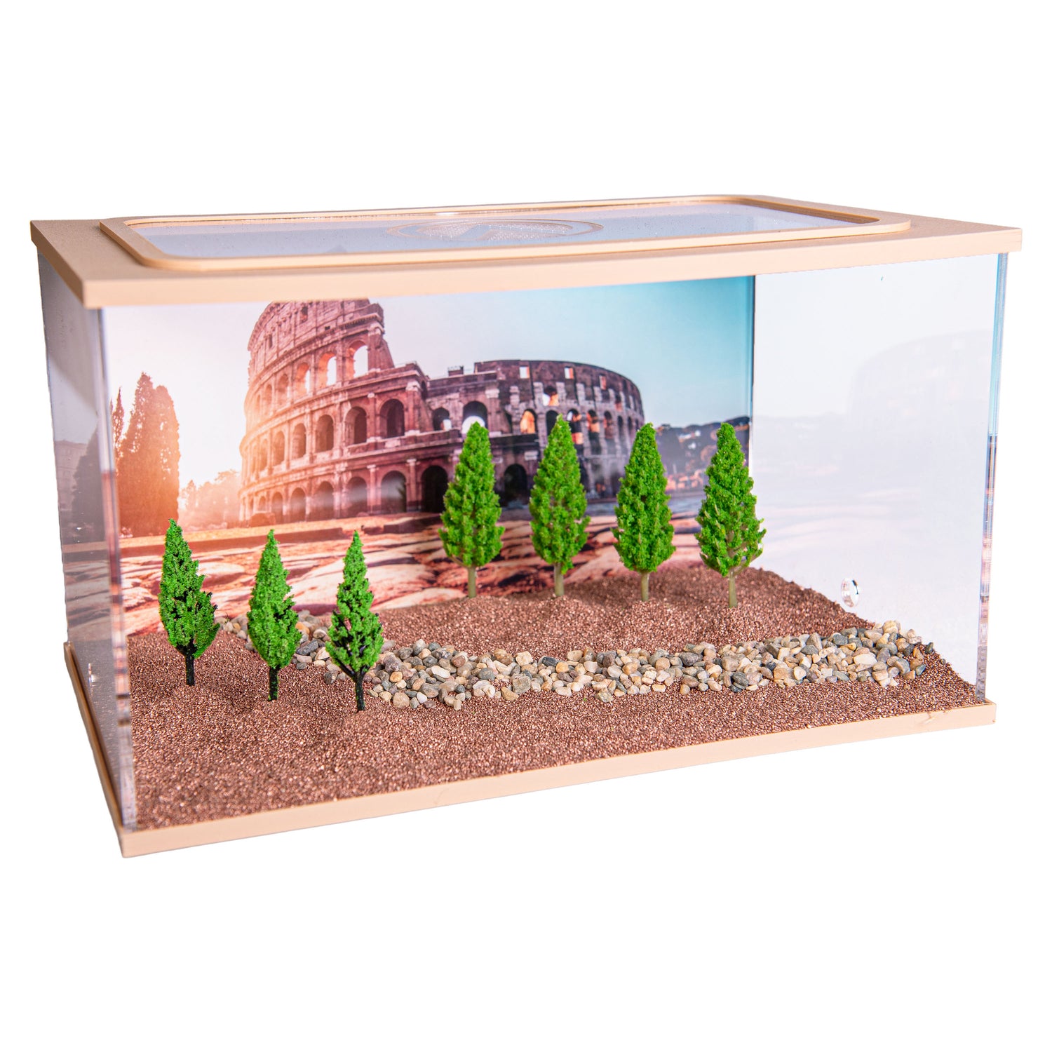 Capital Square BRUIN (Arena 25x16x15)