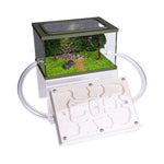 Bovenkant mierenboerderij gips