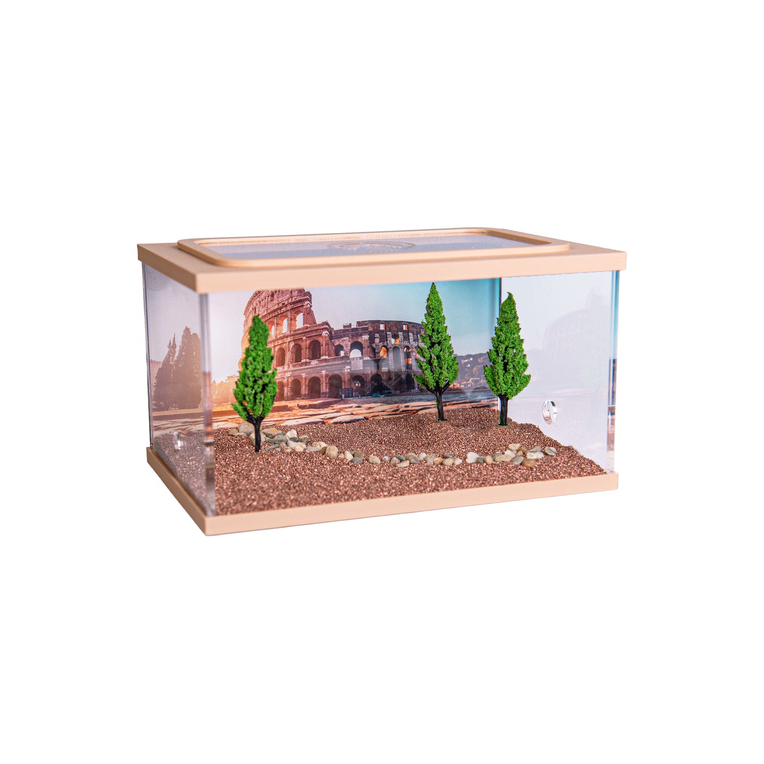 Town Square BRUIN (Arena 15x10x9)