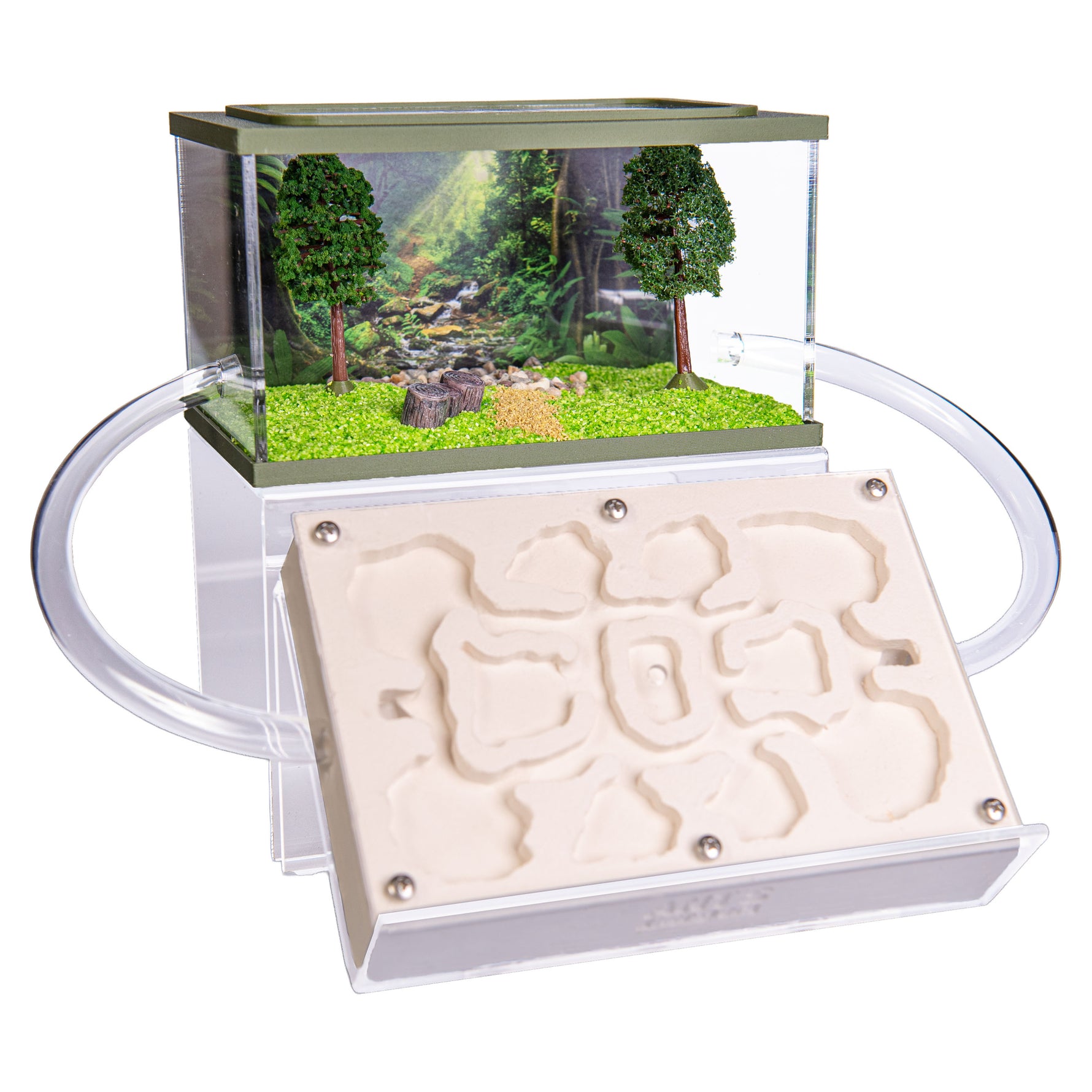 Mierenboerderij gips