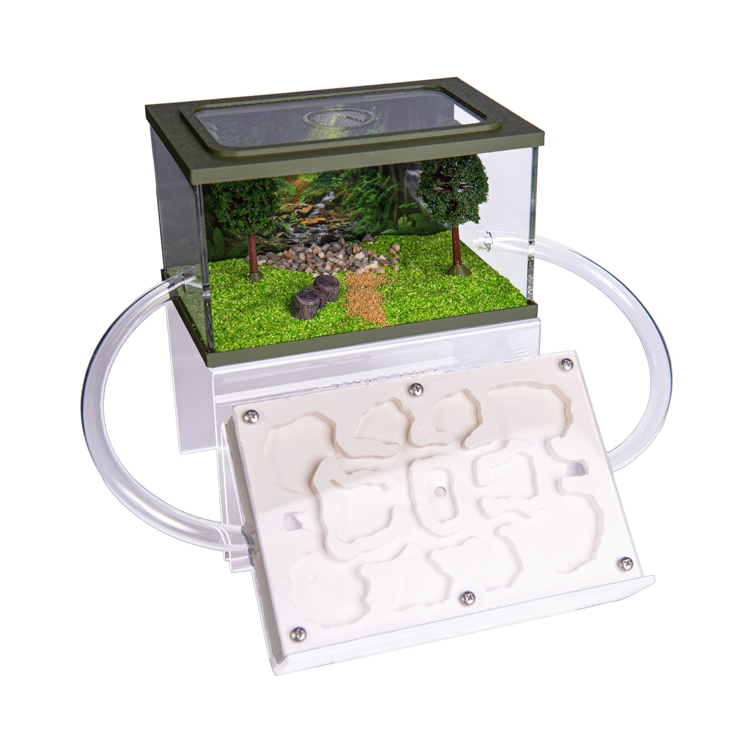 Mierenboerderij gips complete set