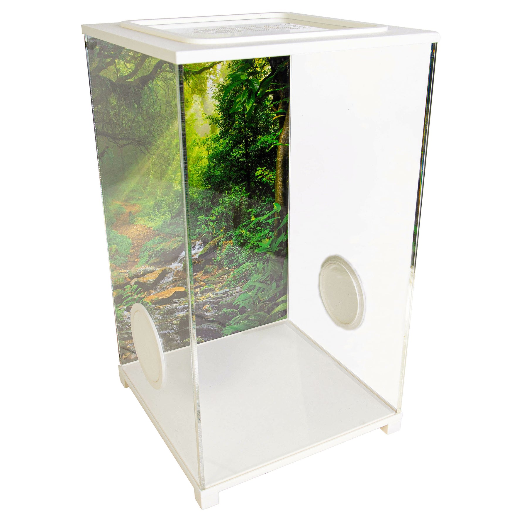 BioDome Terrarium 20x20x34 met backdrop