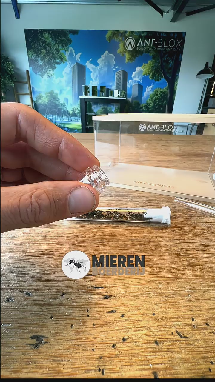 Ant-Blox - Reageerbuis koppelstuk transparant